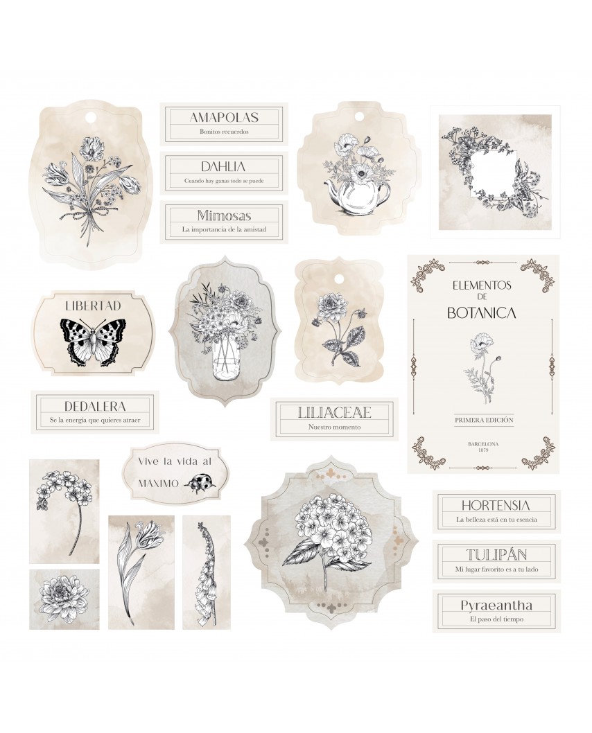 Colección Botánica