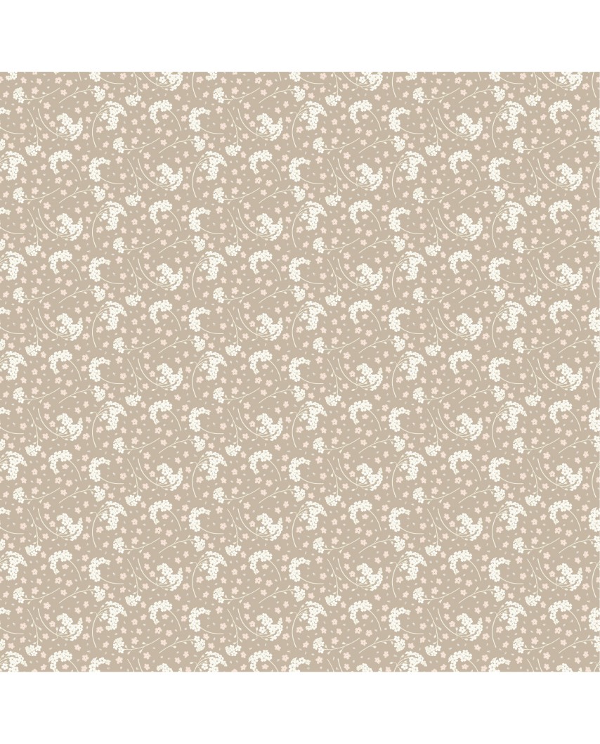 Colección Botánica