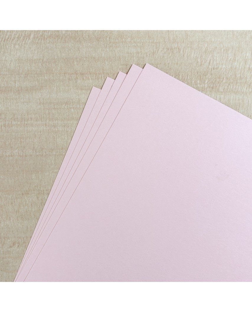 Papel Alta Calidad Mate -  Rosa 01