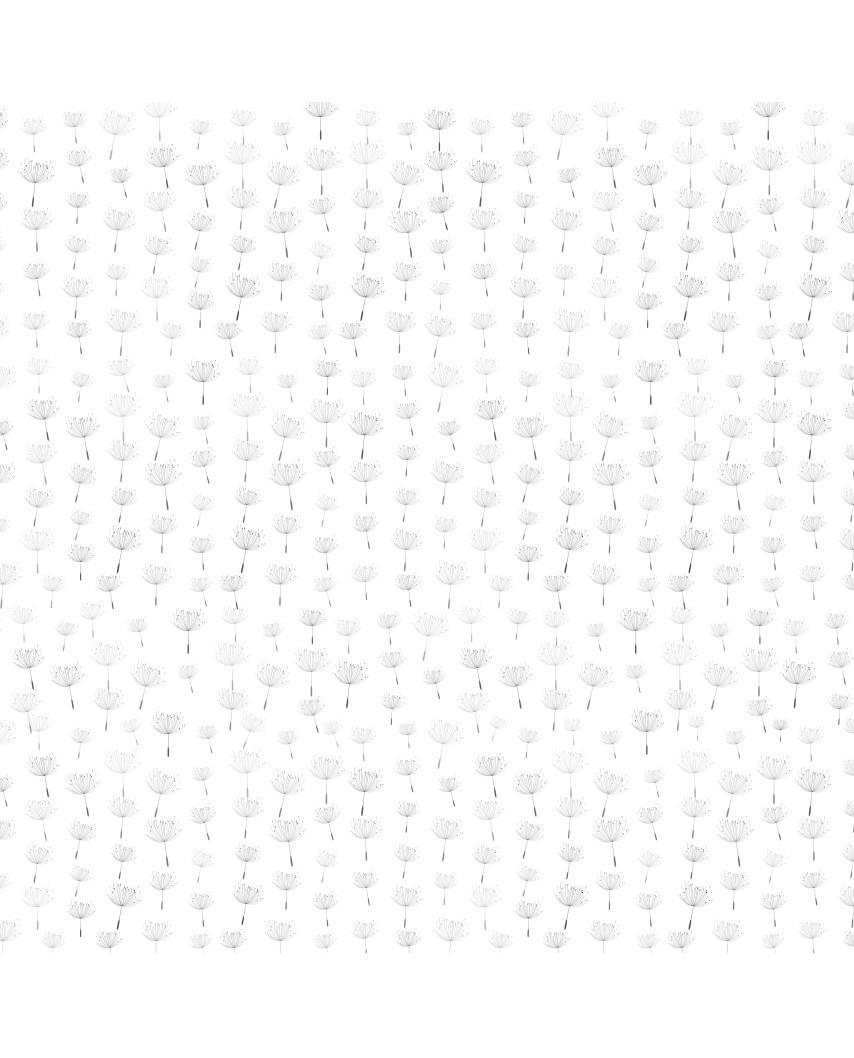 Colección Monocromo